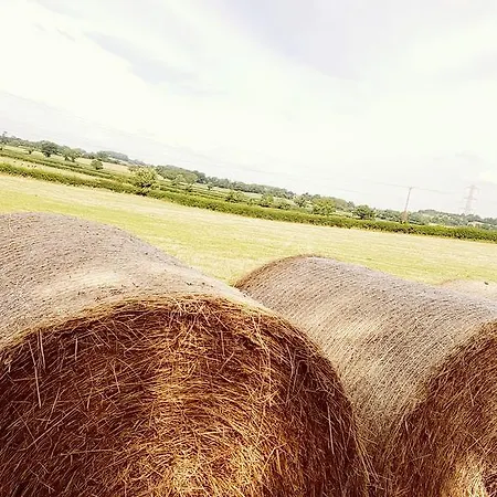 The Dutch Barn, South Glos Apartmán